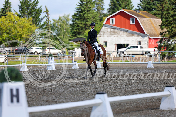 05983 - 2026 Dressage Festival - Sunday July 5th