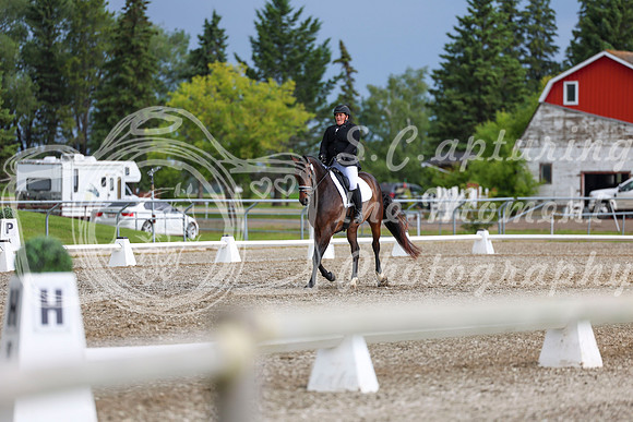03367 - 2026 Dressage Festival - Sunday July 5th
