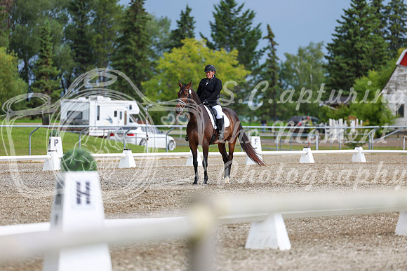 03368 - 2026 Dressage Festival - Sunday July 5th
