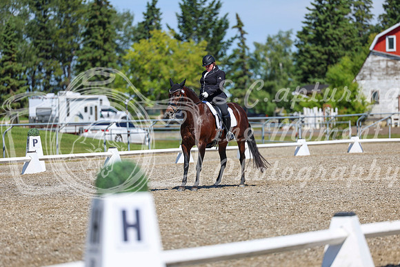 09267 - 2026 Dressage Festival - Sunday July 5th