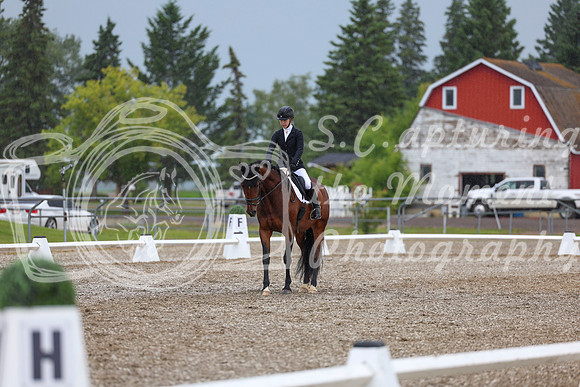 03549 - 2026 Dressage Festival - Sunday July 5th