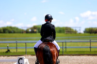 11609 - 2026 Dressage Festival - Sunday July 5th