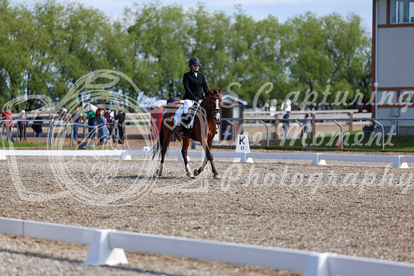 06959 - 2026 Dressage Festival - Sunday July 5th