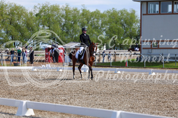 06960 - 2026 Dressage Festival - Sunday July 5th