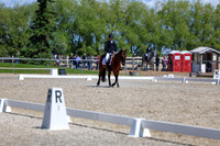 11612 - 2026 Dressage Festival - Sunday July 5th
