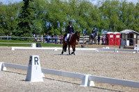 11613 - 2026 Dressage Festival - Sunday July 5th