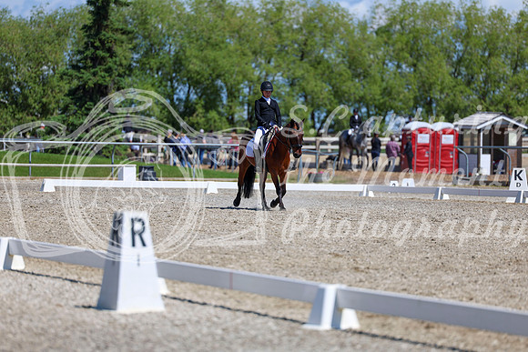 11613 - 2026 Dressage Festival - Sunday July 5th