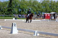 11614 - 2026 Dressage Festival - Sunday July 5th