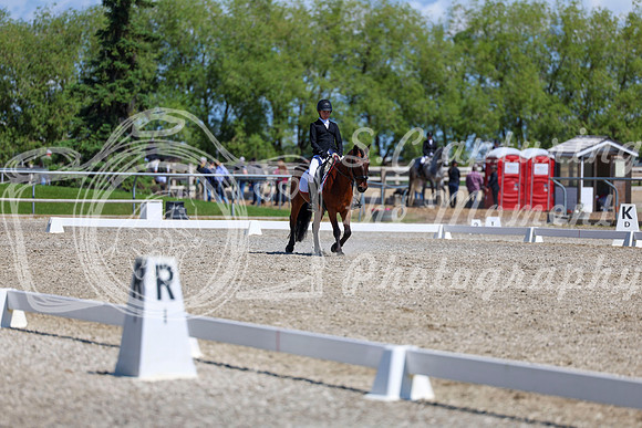 11614 - 2026 Dressage Festival - Sunday July 5th