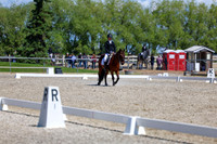 11615 - 2026 Dressage Festival - Sunday July 5th