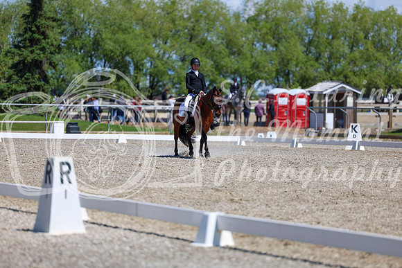 11616 - 2026 Dressage Festival - Sunday July 5th