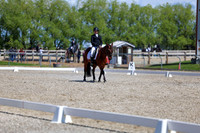 11620 - 2026 Dressage Festival - Sunday July 5th