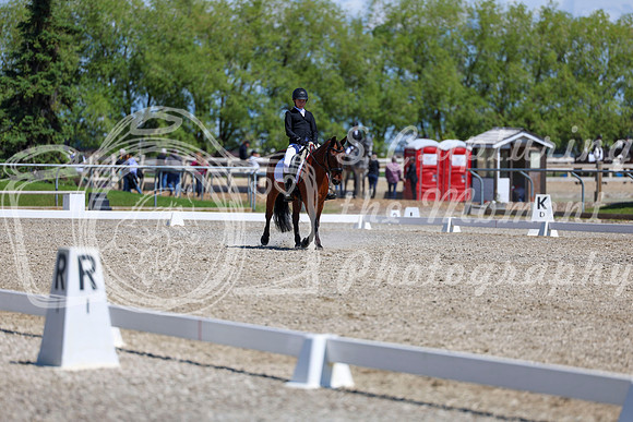11619 - 2026 Dressage Festival - Sunday July 5th