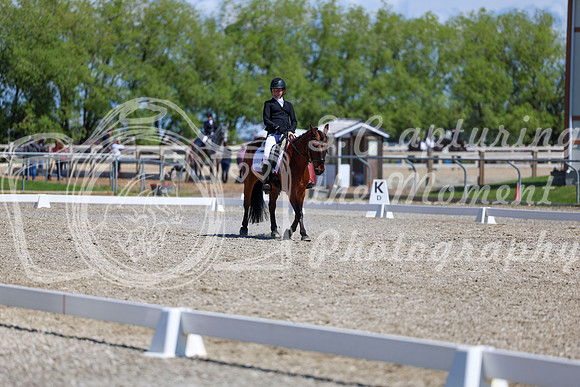 11621 - 2026 Dressage Festival - Sunday July 5th