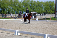 11622 - 2026 Dressage Festival - Sunday July 5th