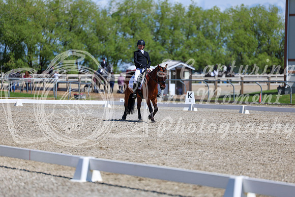 11623 - 2026 Dressage Festival - Sunday July 5th