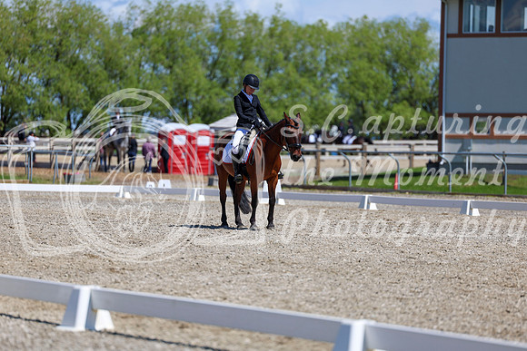 11624 - 2026 Dressage Festival - Sunday July 5th