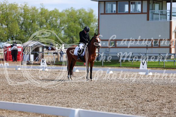 06972 - 2026 Dressage Festival - Sunday July 5th
