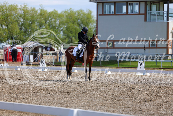 06974 - 2026 Dressage Festival - Sunday July 5th