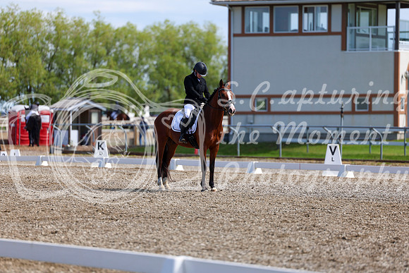 06976 - 2026 Dressage Festival - Sunday July 5th
