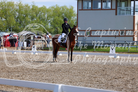 06978 - 2026 Dressage Festival - Sunday July 5th