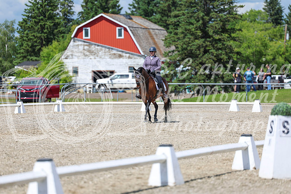 14588 - 2026 Dressage Festival - Sunday July 5th