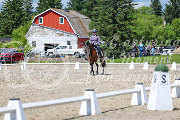 14585 - 2026 Dressage Festival - Sunday July 5th