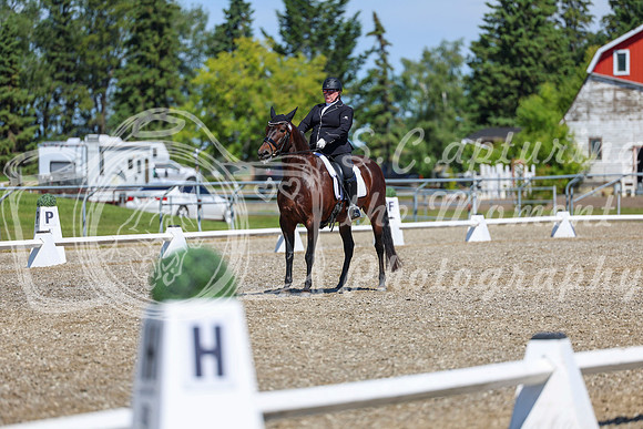 09275 - 2026 Dressage Festival - Sunday July 5th