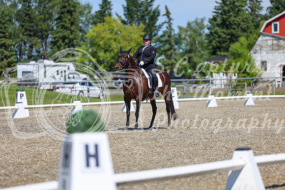 09273 - 2026 Dressage Festival - Sunday July 5th