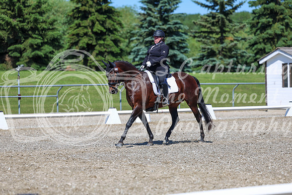 09296 - 2026 Dressage Festival - Sunday July 5th
