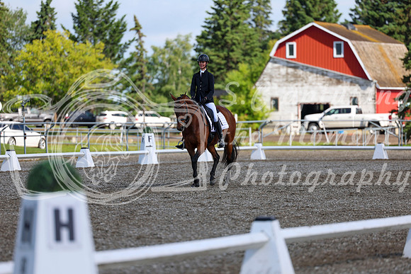 05989 - 2026 Dressage Festival - Sunday July 5th