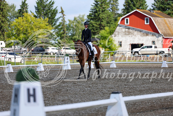 05993 - 2026 Dressage Festival - Sunday July 5th