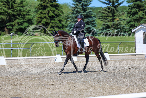 09297 - 2026 Dressage Festival - Sunday July 5th