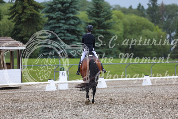 03551 - 2026 Dressage Festival - Sunday July 5th