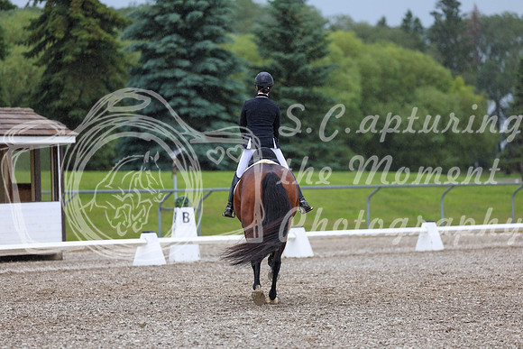 03550 - 2026 Dressage Festival - Sunday July 5th