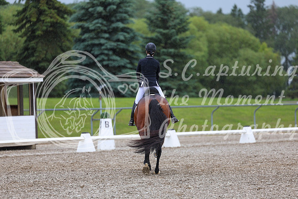 03552 - 2026 Dressage Festival - Sunday July 5th