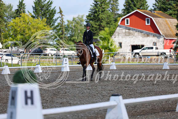 05990 - 2026 Dressage Festival - Sunday July 5th