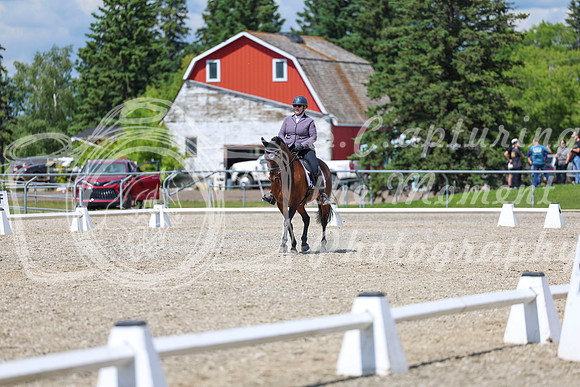 14590 - 2026 Dressage Festival - Sunday July 5th
