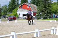 14591 - 2026 Dressage Festival - Sunday July 5th