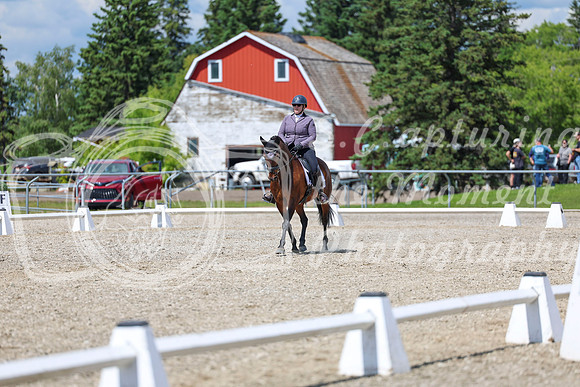 14591 - 2026 Dressage Festival - Sunday July 5th