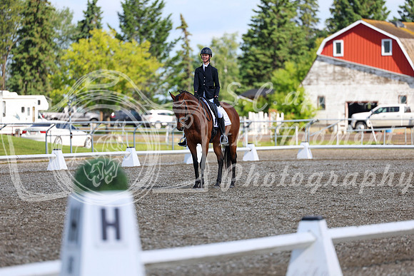 05997 - 2026 Dressage Festival - Sunday July 5th