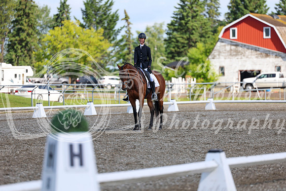 05995 - 2026 Dressage Festival - Sunday July 5th