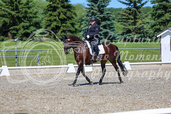09298 - 2026 Dressage Festival - Sunday July 5th