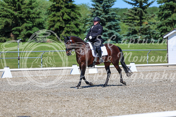 09299 - 2026 Dressage Festival - Sunday July 5th
