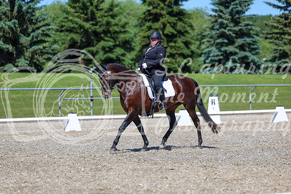 09301 - 2026 Dressage Festival - Sunday July 5th