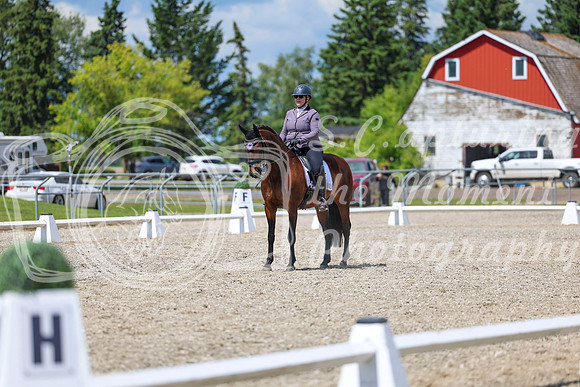 14595 - 2026 Dressage Festival - Sunday July 5th