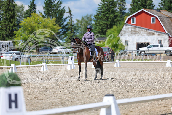 14598 - 2026 Dressage Festival - Sunday July 5th