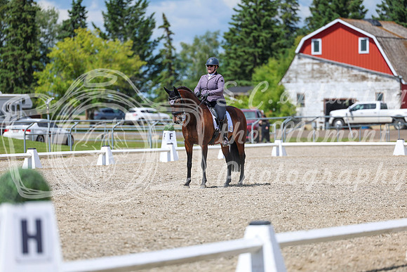 14599 - 2026 Dressage Festival - Sunday July 5th