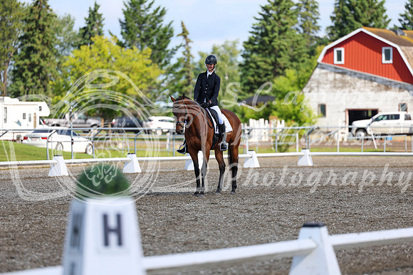 06001 - 2026 Dressage Festival - Sunday July 5th
