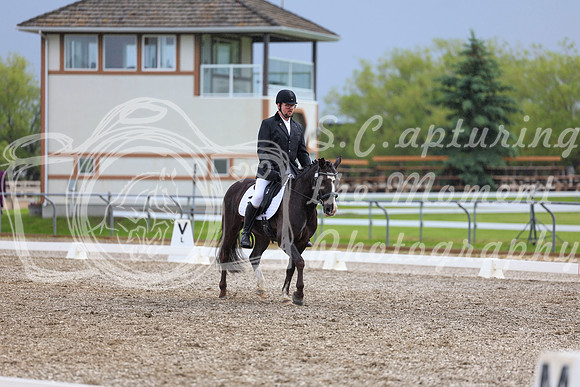04583 - 2026 Dressage Festival - Sunday July 5th